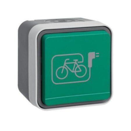 Berker Fietsoplaadpunt/ Wandcontactdoos - Geaard