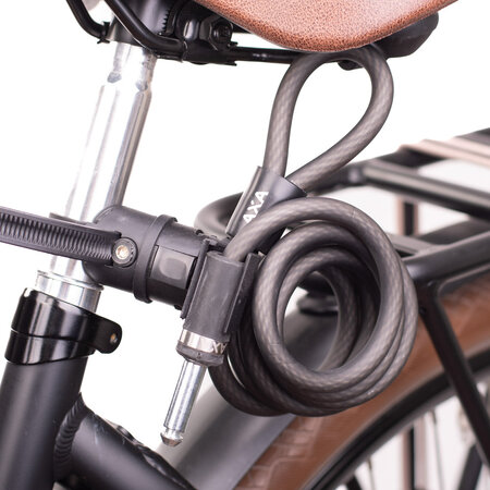 AXA Insteekkabel RLN/Newton 150 cm