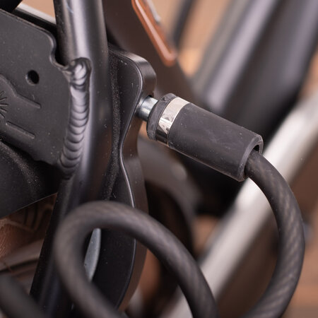 AXA Insteekkabel RLN/Newton 150 cm