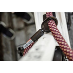Accessoires voor de Fatbike