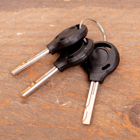 Pro-tect Cobalt hangslot