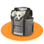 Hond, kat en andere huisdieren veilig en praktisch mee tijdens het fietsen