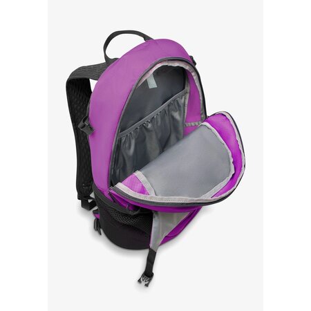 Jack Wolfskin Rugzak Velocity 20L Freesia