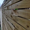 Geïmpregneerd vuren lat - 19x45 mm - geschaafd - houten lat voor buiten - geïmpregneerd vurenhout KD 18-20%