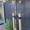 Geïmpregneerd grenen paal met punt - 60 mm - gefreesd - ronde tuinpaal (gepunt) - geïmpregneerd grenenhout KD 18-20%