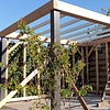 Douglas balk - 65x160 mm - geschaafd - balk voor buiten - douglashout KD 18-20%