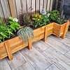Douglas balk - 50x75 mm - fijnbezaagd / ruw - balk voor buiten - douglashout AD 20-25%