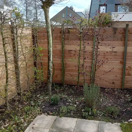 Douglas plank - 19x190 mm - geschaafd - plank voor buiten - douglashout KD 18-20%