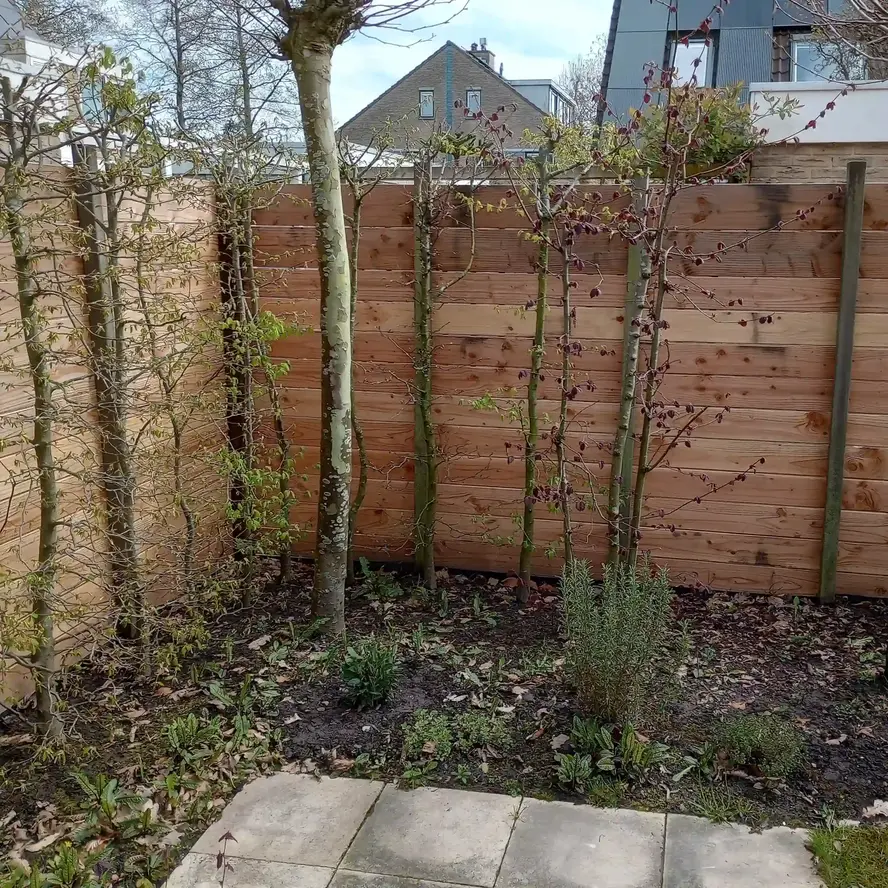 Douglas plank - 19x190 mm - geschaafd - plank voor buiten - douglashout KD 18-20% Douglas plank - 19x190 mm - geschaafd - plank voor buiten - douglashout KD 18-20%