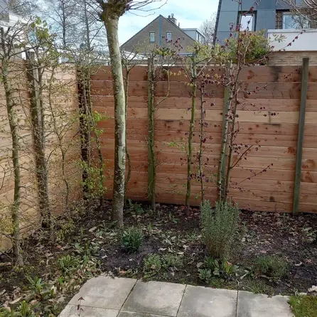 Douglas plank - 28x64 mm - geschaafd - plank voor buiten - douglashout KD 18-20%