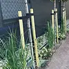 Geïmpregneerd grenen paal met punt - 80 mm - gefreesd - ronde tuinpaal (gepunt) - geïmpregneerd grenenhout KD 18-20%