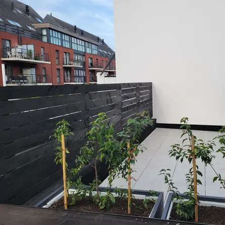 Zwart geïmpregneerd douglas balk - 45x75 mm - fijnbezaagd / ruw - balk voor buiten - zwart douglashout AD 20-25%