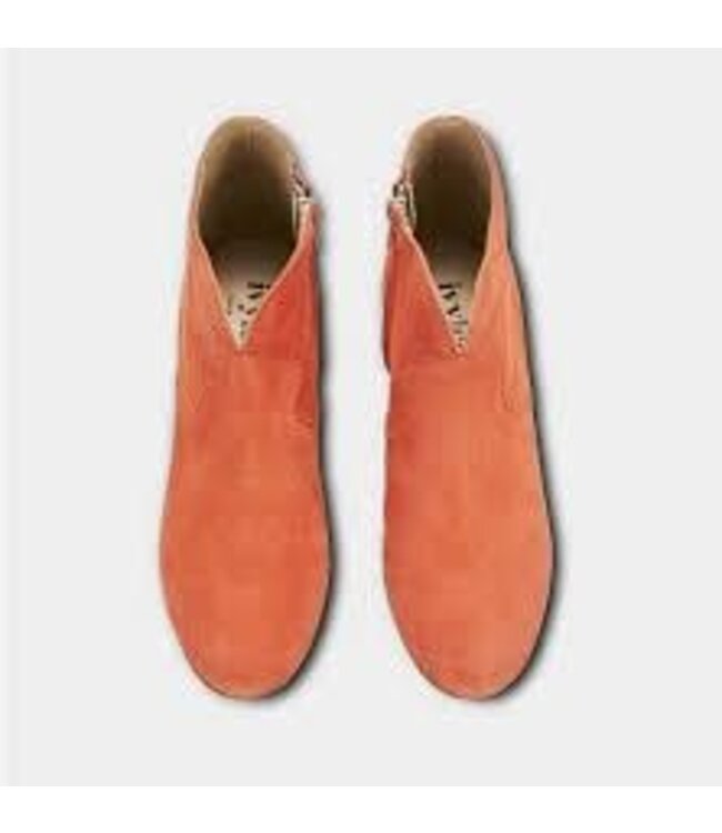 Ivylee Gilly Ankle Boot /41