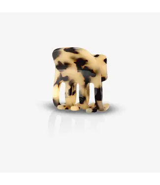 Sasstie Paw Cheetah