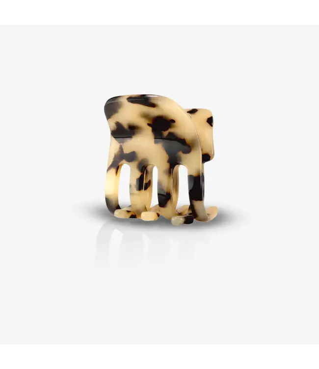 Sasstie Paw Cheetah