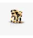 Sasstie Paw Cheetah