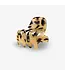 Sasstie Paw Cheetah