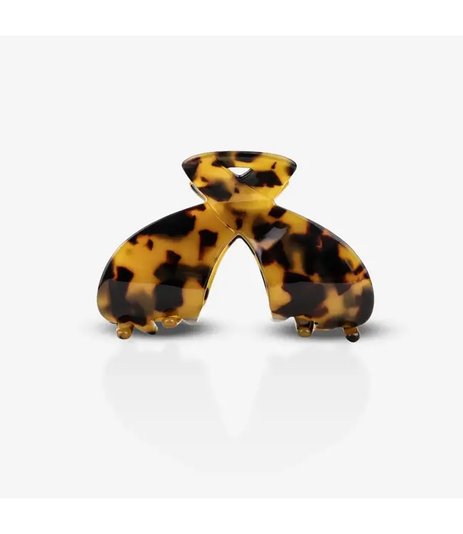 Sasstie Arc Dark Cheetah