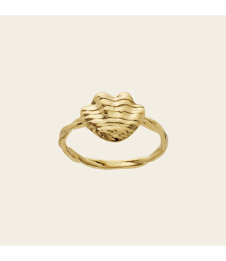 Maanesten Dwyn Ring size 53
