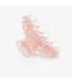 Sasstie Lume springrose