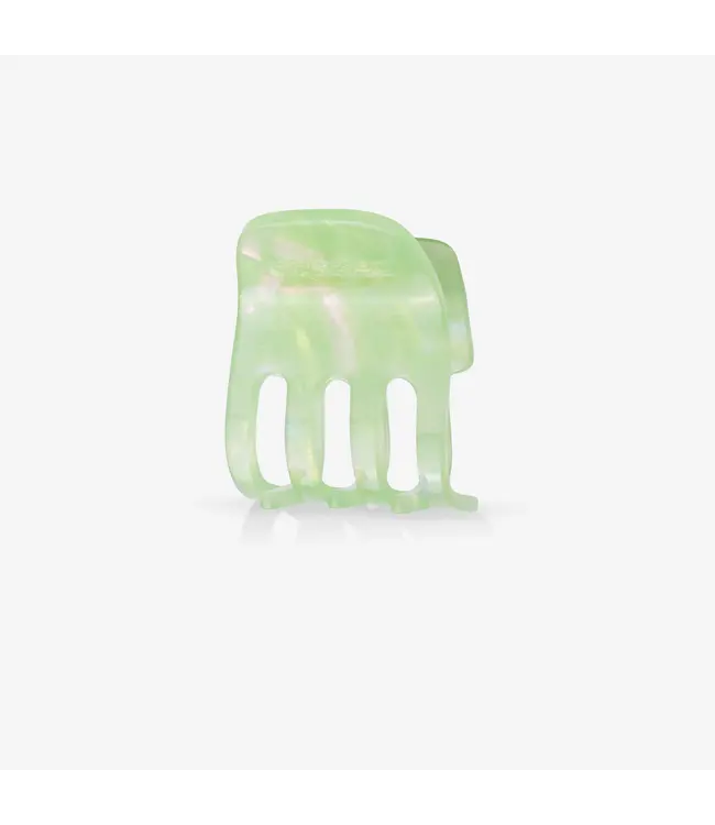 Sasstie Paw Mint