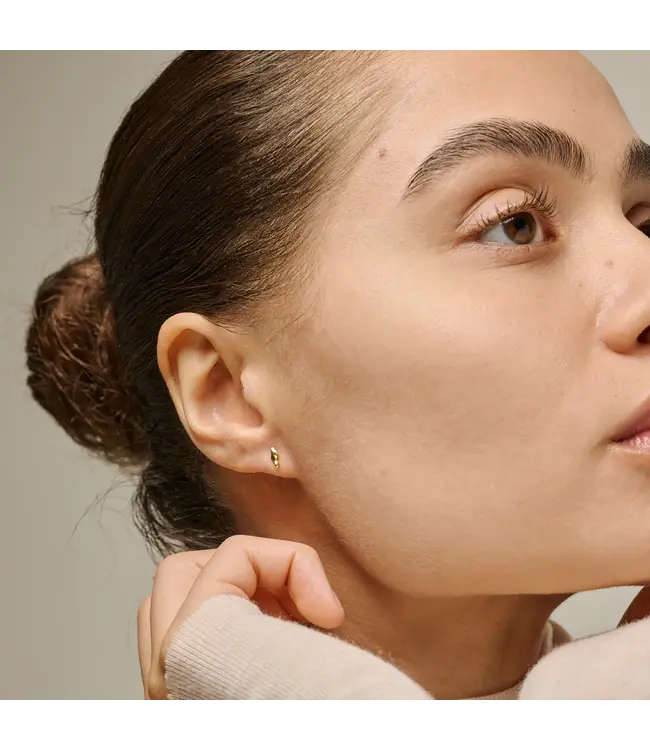 Enamel Studs india petit