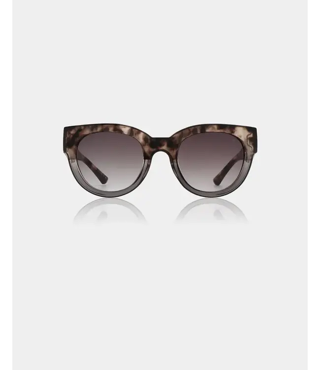 A.Kjaerbede Lilly - Coquina