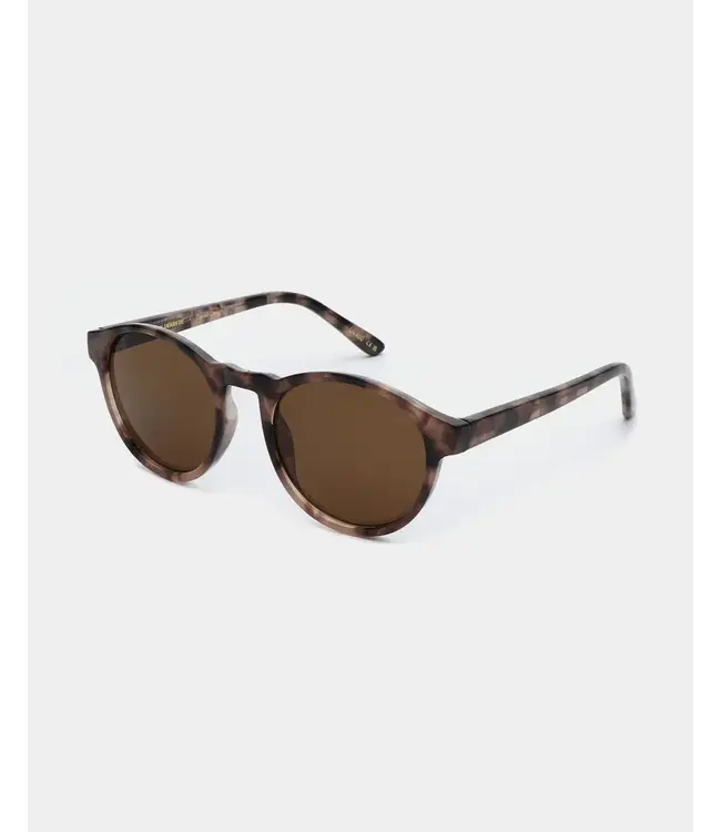 A.Kjaerbede Marvin - Coquina