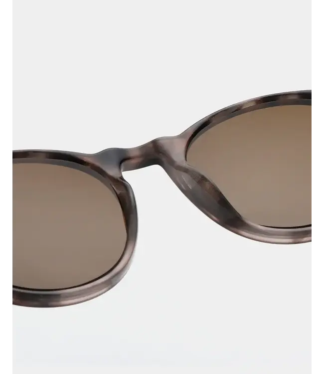 A.Kjaerbede Marvin - Coquina