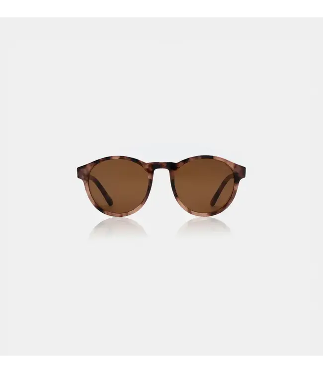 A.Kjaerbede Marvin - Coquina