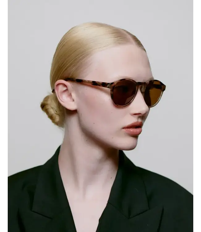 A.Kjaerbede Marvin - Coquina