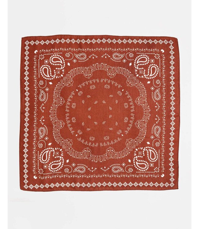 BOW19 Paisley Scarf cognac