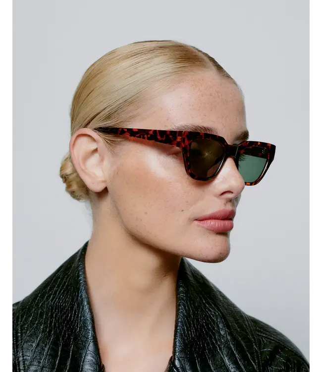 A.Kjaerbede Kaws - Demi Tortoise