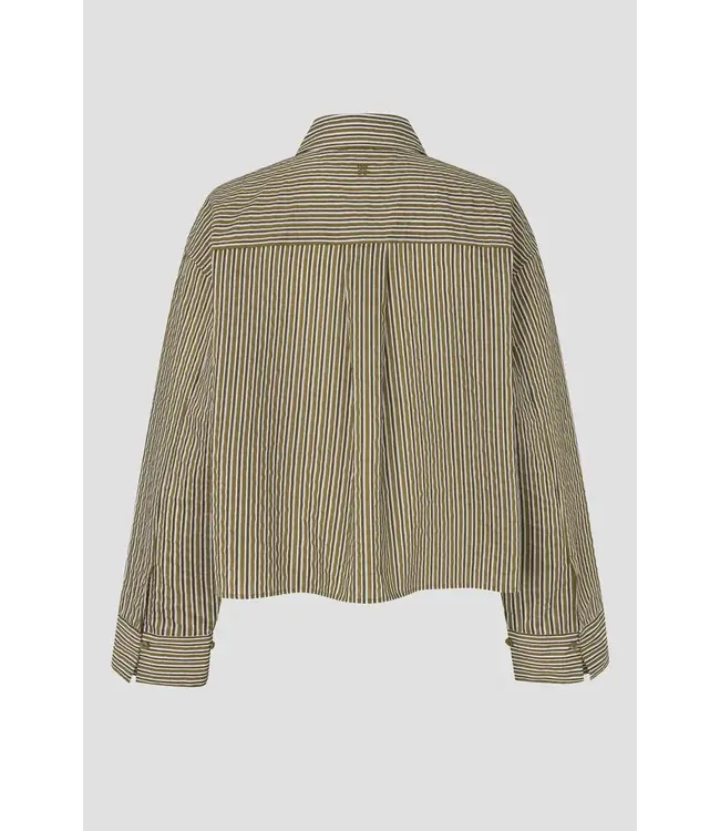 Second Female Vena Cropped Shirt