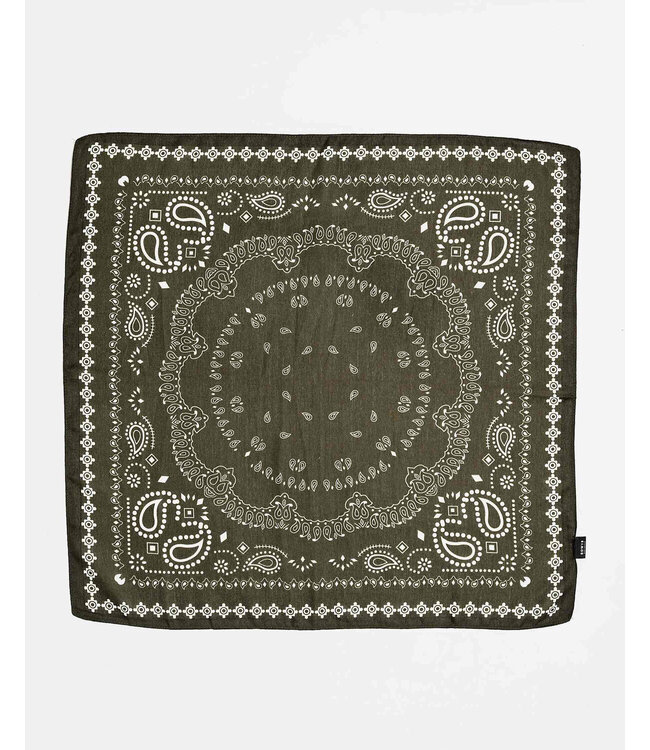 BOW19 Paisley Scarf Green