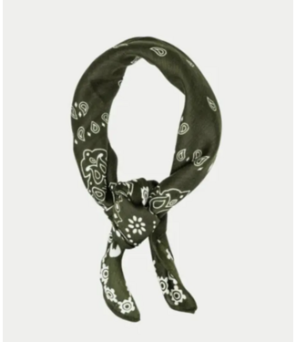 BOW19 Paisley Scarf Green