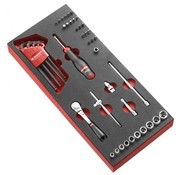 Facom MODM.RL161-36 Doppen, bitset, inbusset | Foam | 1/4 Inch 6-Knt | Foam Module