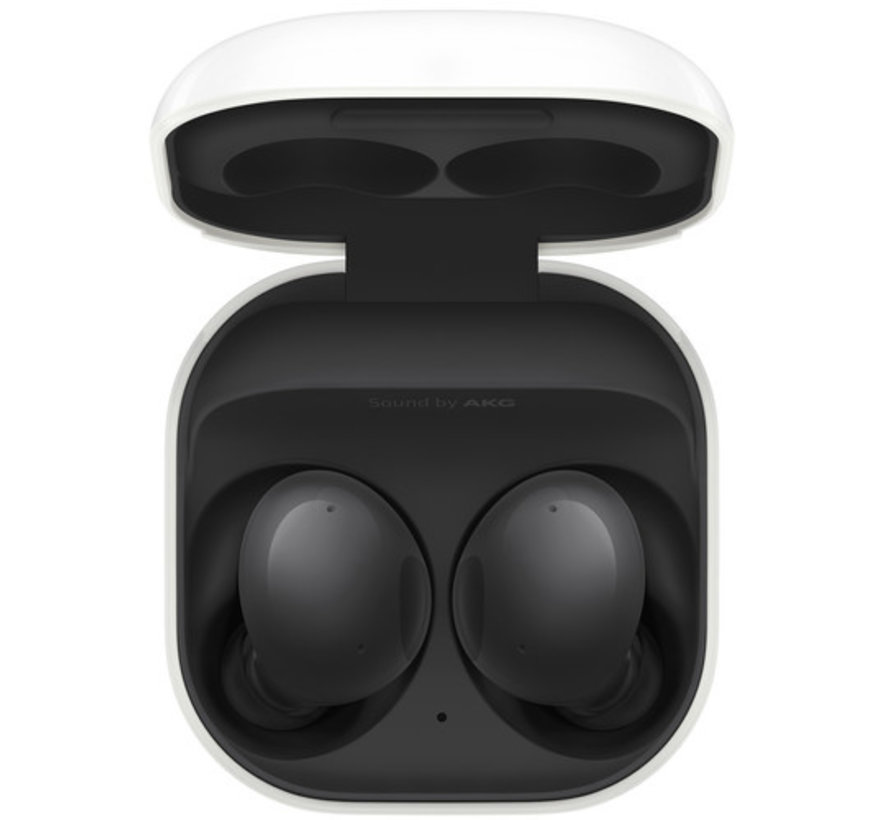 Samsung Galaxy Buds 2 Grafiet