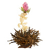 Theebloemen wit/zwart/groen in cadeaudoosjein cadeaudoosje Theebloemen wit/zwart/groen in cadeaudoosjein cadeaudoosje