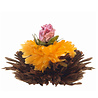 Theebloemen wit/zwart/groen in cadeaudoosjein cadeaudoosje Theebloemen wit/zwart/groen in cadeaudoosjein cadeaudoosje