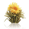 Theebloemen wit/zwart/groen in cadeaudoosjein cadeaudoosje Theebloemen wit/zwart/groen in cadeaudoosjein cadeaudoosje