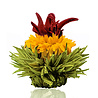 Theebloemen wit/zwart/groen in cadeaudoosjein cadeaudoosje Theebloemen wit/zwart/groen in cadeaudoosjein cadeaudoosje