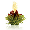Theebloemen wit/zwart/groen in cadeaudoosjein cadeaudoosje Theebloemen wit/zwart/groen in cadeaudoosjein cadeaudoosje