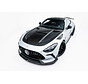 Maxton Design Prepreg Carbon Fiber Bodykit Mercedes-AMG GT 63 / 55 / 63 S E Performance C192