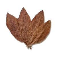 Scheercrème 150g Tobacco Leaf