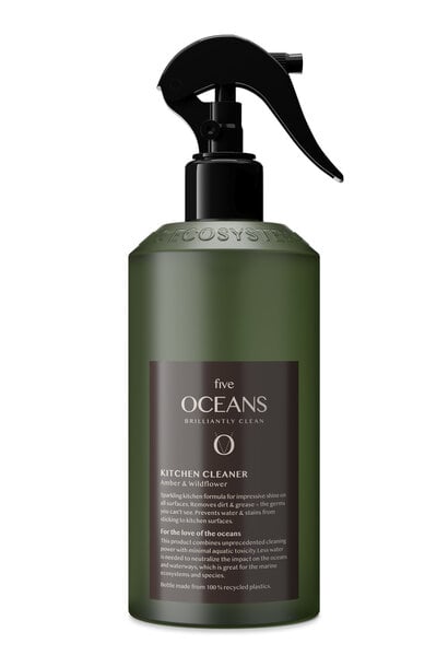 Keukenreiniger 500ml