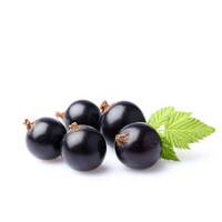 Essentials body soap bar 100g