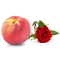 Aftershave Lotion Oud 50ml