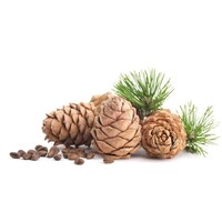 Scheercreme Cedarwood 75ml