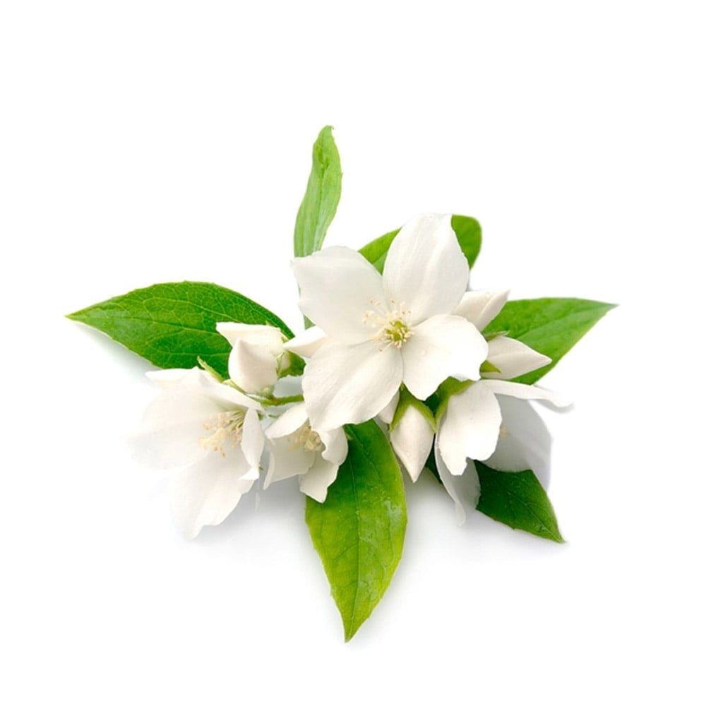 Handzeep Bamboo & Jasmine 100g - Bath House-2